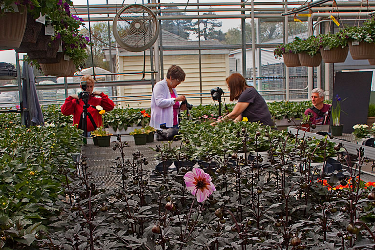 Working the green house